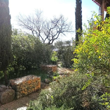 T2 36 M2, Rdc De Villa, Clim, Gd Jardin Clos, Animx Ok, Quartier Mt Faron Tres Calme, Wifi, Parking Toulon Dış mekan fotoğraf