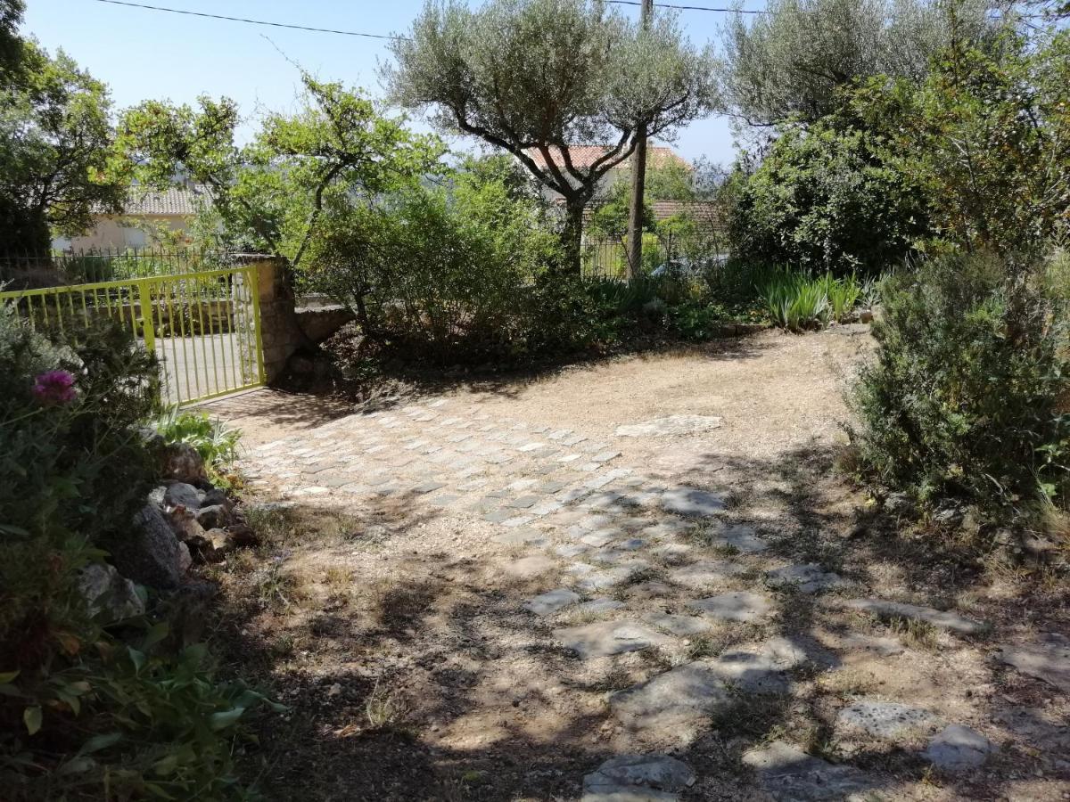 T2 36 M2, Rdc De Villa, Clim, Gd Jardin Clos, Animx Ok, Quartier Mt Faron Tres Calme, Wifi, Parking Toulon Dış mekan fotoğraf