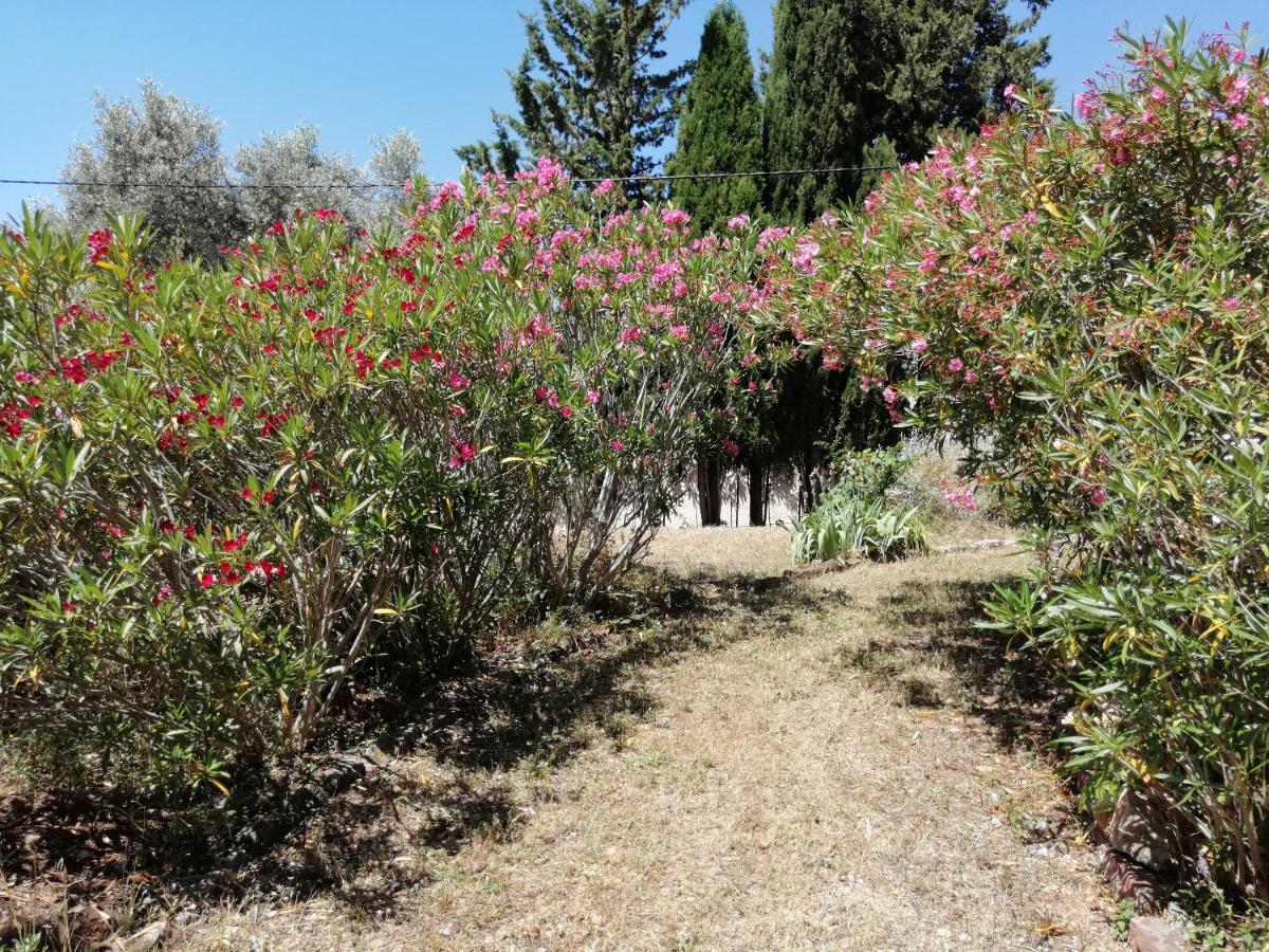 T2 36 M2, Rdc De Villa, Clim, Gd Jardin Clos, Animx Ok, Quartier Mt Faron Tres Calme, Wifi, Parking Toulon Dış mekan fotoğraf