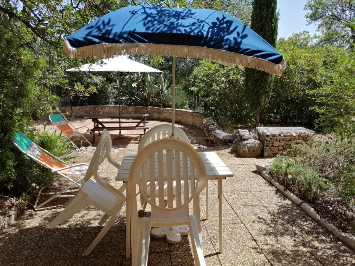 T2 36 M2, Rdc De Villa, Clim, Gd Jardin Clos, Animx Ok, Quartier Mt Faron Tres Calme, Wifi, Parking Toulon Dış mekan fotoğraf