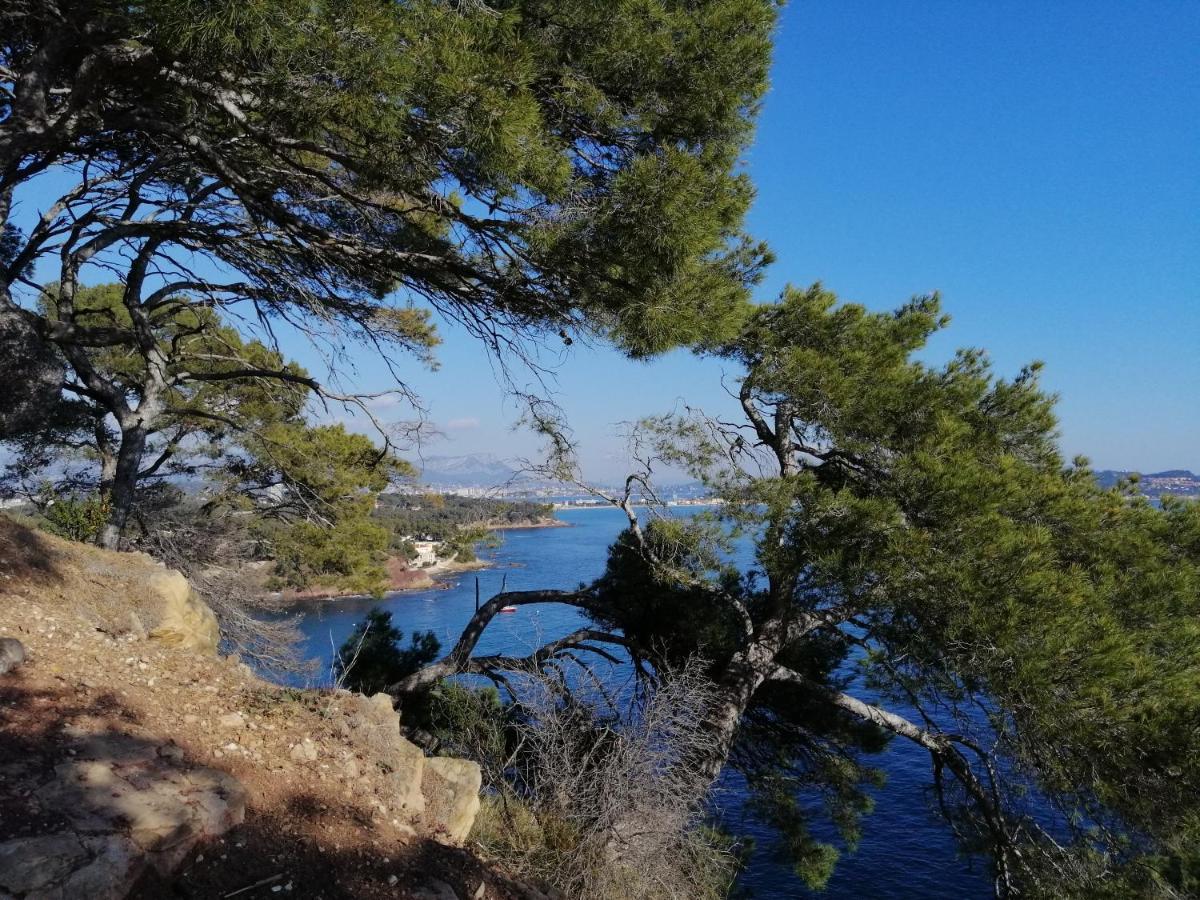T2 36 M2, Rdc De Villa, Clim, Gd Jardin Clos, Animx Ok, Quartier Mt Faron Tres Calme, Wifi, Parking Toulon Dış mekan fotoğraf